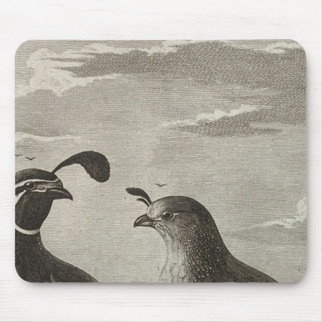 California Mouse Pad (Front)