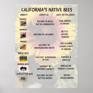 California Native Bees Poster
