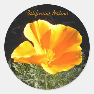 California Native Classic Round Sticker