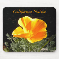 California Native