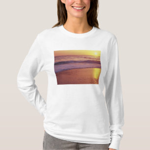California, near Santa Cruz, View of beach at T-Shirt
