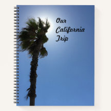 California Palm Tree
