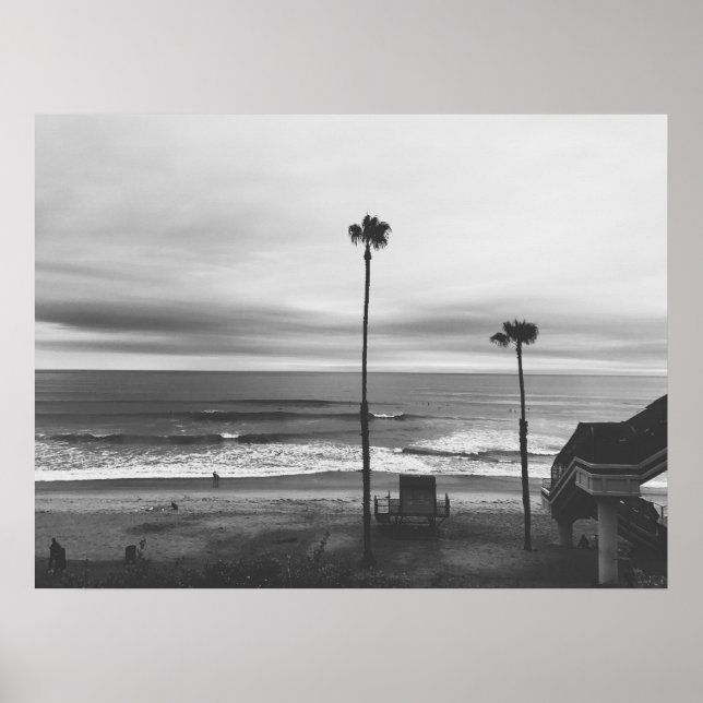 California Palm Trees Poster (Front)