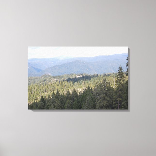 California Pine Trees Photography Canvas (Front)