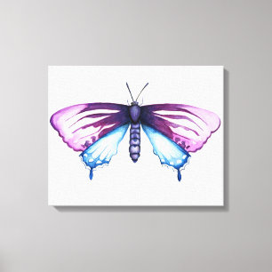 California pipevine swallowtail butterfly canvas print