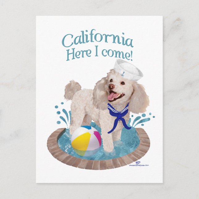 California Poodle Postcard (Front)