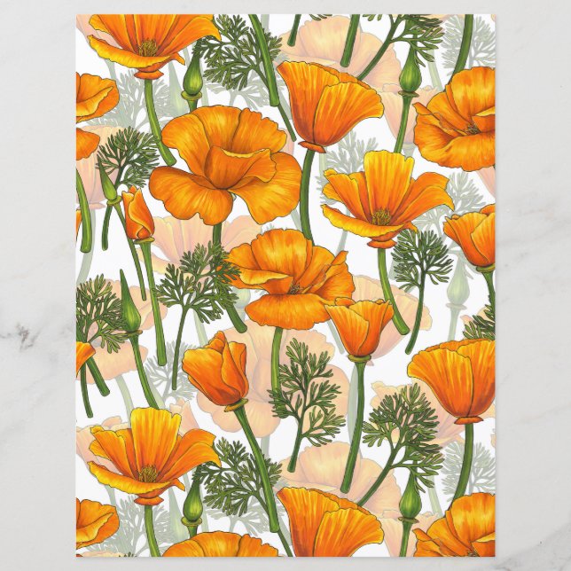 California poppies (Front)