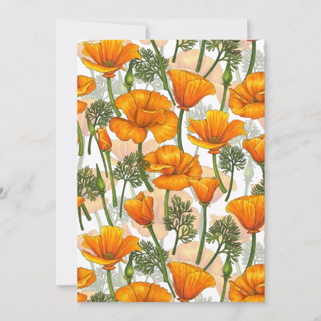 California poppies (Front)
