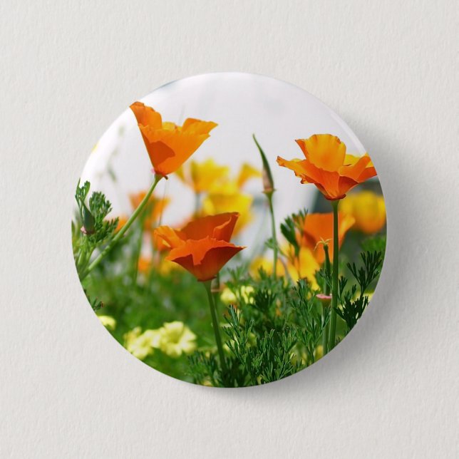 California Poppies 2 Inch Round Button (Front)