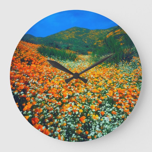 California Poppies and Popcorn wildflowers Large Clock (Front)