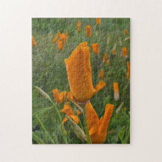 California Poppies as Buds Jigsaw Puzzle