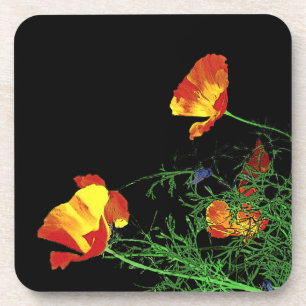 California poppies coaster