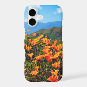 California poppies covering a hillside