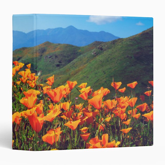 California poppies covering a hillside binder (Front/Spine)