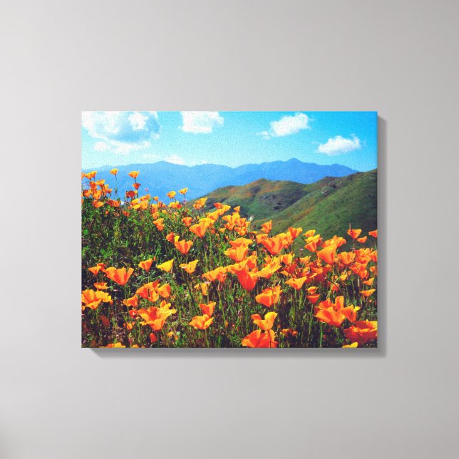 California Poppies Covering a Hillside Canvas Print (Front)