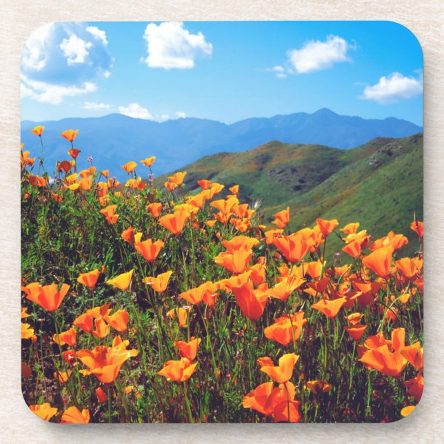 California poppies covering a hillside coaster (Front)