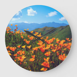 California poppies covering a hillside large clock