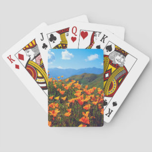 California poppies covering a hillside playing cards