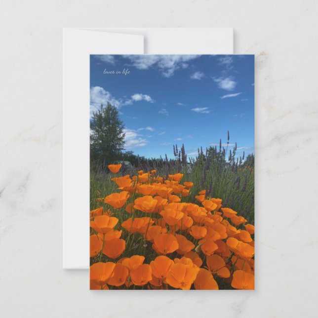 California Poppies & Lavender Card (Front)