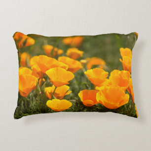 California poppies, Montana de Oro State Park Accent Pillow