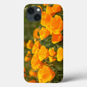 California poppies, Montana de Oro State Park iPhone 13 Case