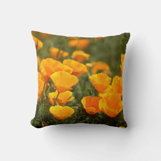 California poppies, Montana de Oro State Park Throw Pillow (Front)