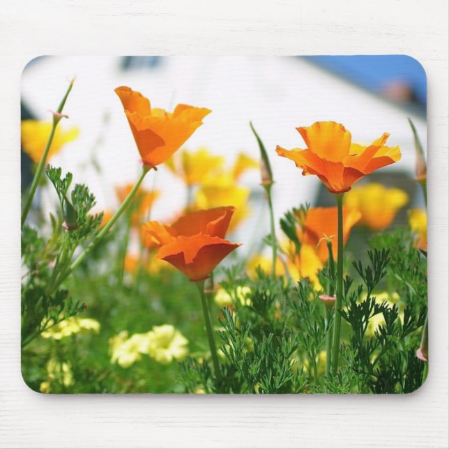 California Poppies Mouse Pad (Front)
