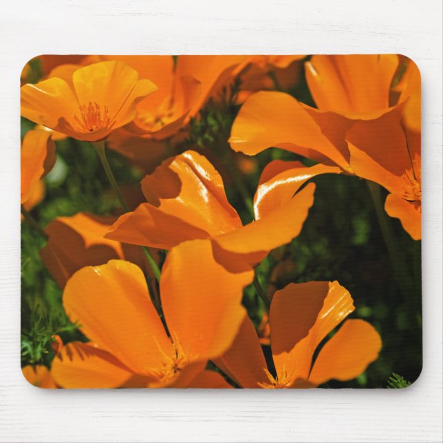 California Poppies Mousepad (Front)