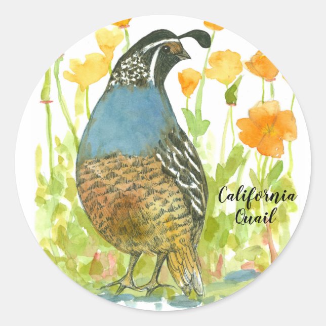 California Poppies Quail Bird Watercolor Classic Round Sticker (Front)