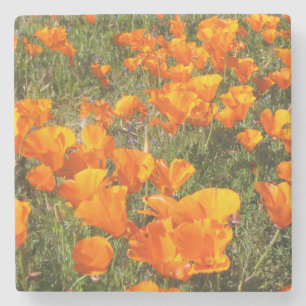 California Poppies Stone Coaster