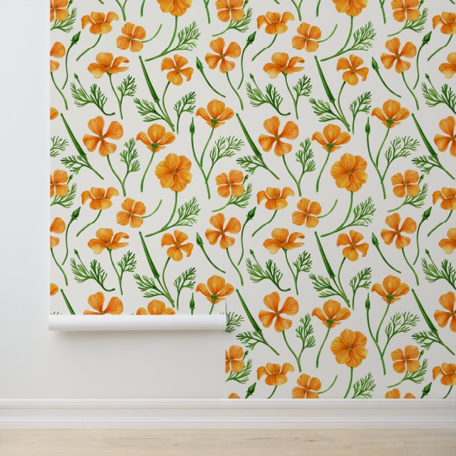 California poppies, summertime flowers on white wallpaper (Application)