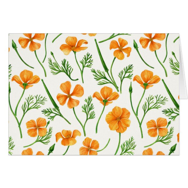 California poppies, summertime flowers, orange wil (Front Horizontal)