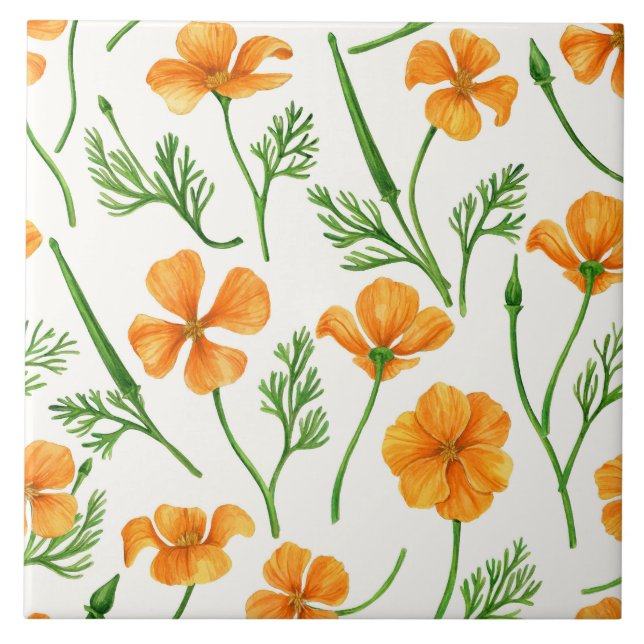 California poppies, summertime flowers, orange wil tile (Front)