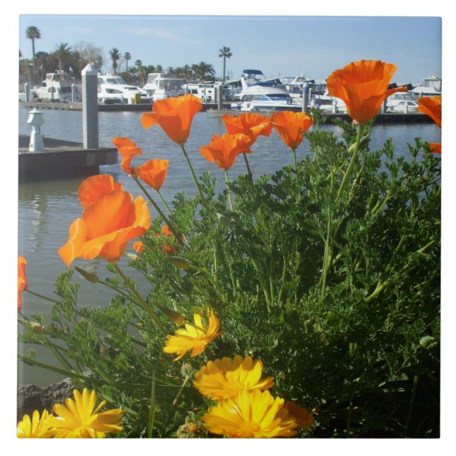 California Poppies Tile (Front)