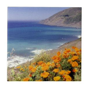 California Poppies Tile