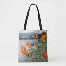 California Poppies 