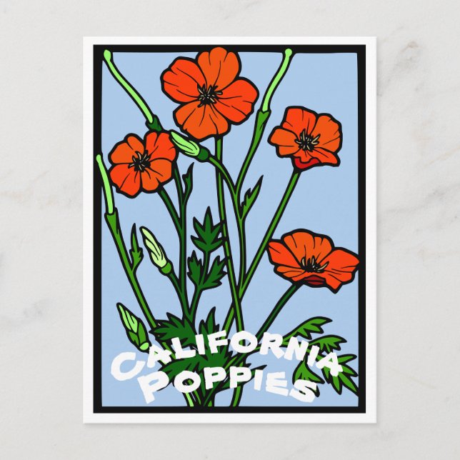 California Poppies Vintage Postcard (Front)