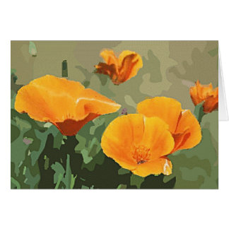 California Poppy