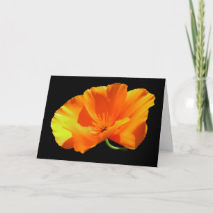 California Poppy Blank Card