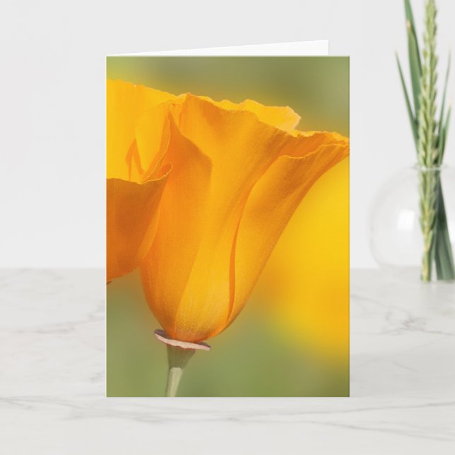 California Poppy Card (Front)