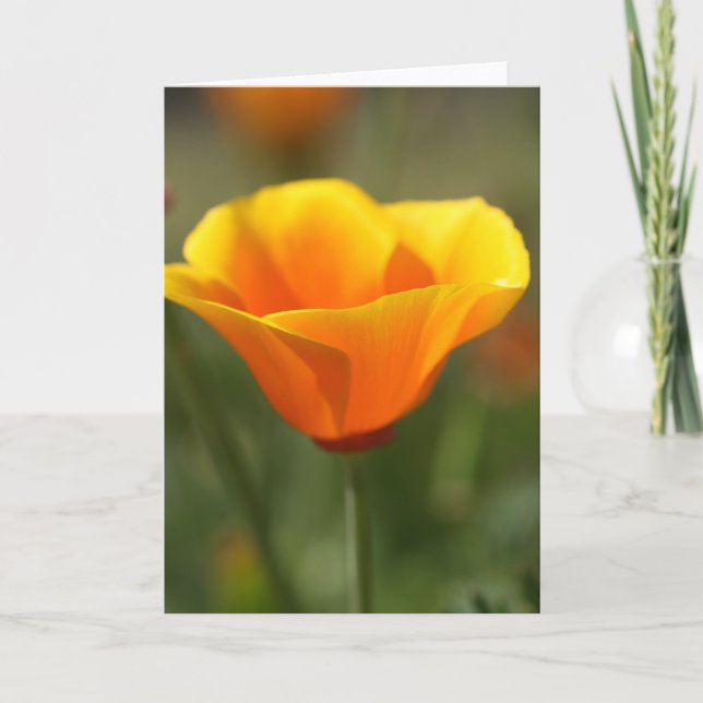 California Poppy Card (Front)