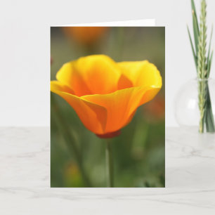 California Poppy Card