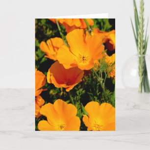 "California Poppy" Card