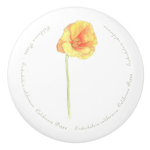 California Poppy Ceramic Knob