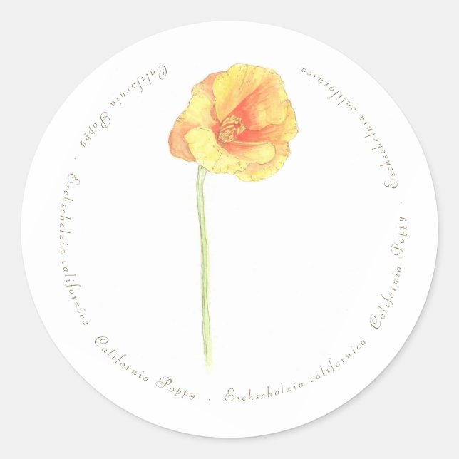 California Poppy  Classic Round Sticker (Front)