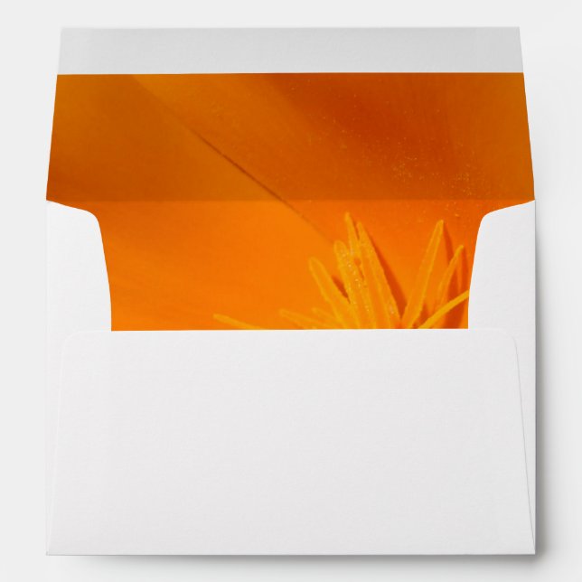 California Poppy Envelope (Back (Bottom))