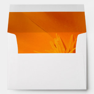 California Poppy Envelope