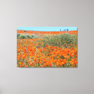 California Poppy Field Canvas Print