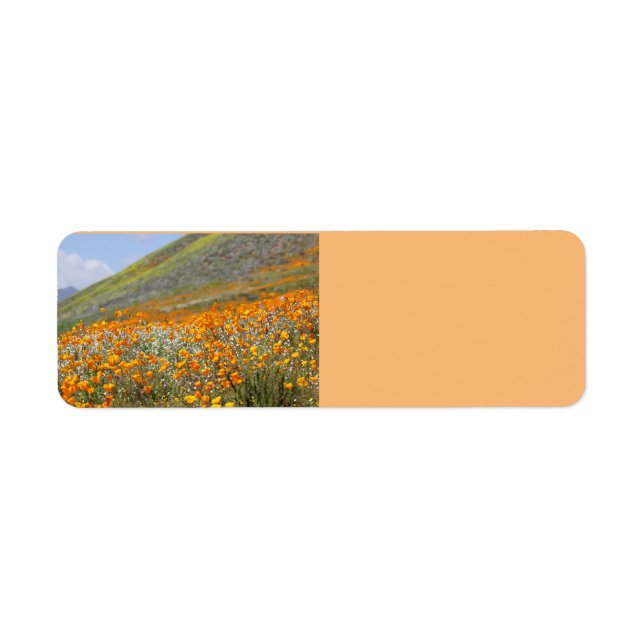 California Poppy Fields Return Address Labels (Front)