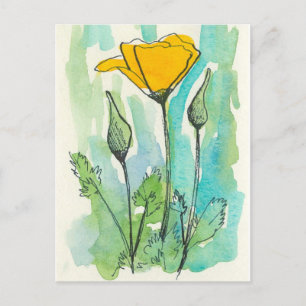 California Poppy Flower Bloom Spring Green Postcard